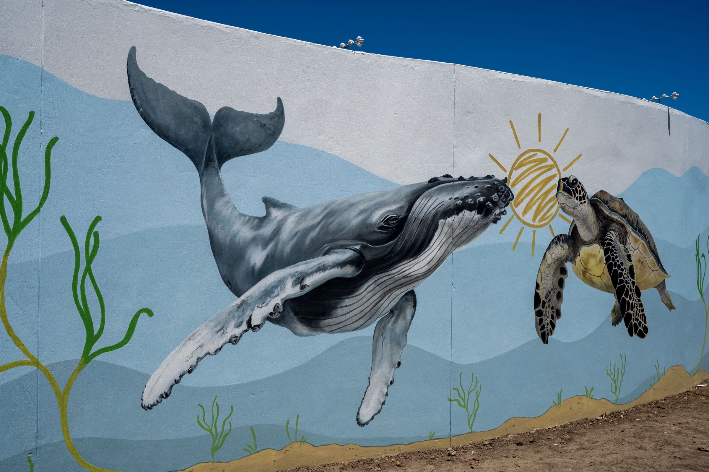 KuCoNa ocean mural featuring a whale and sea turtle