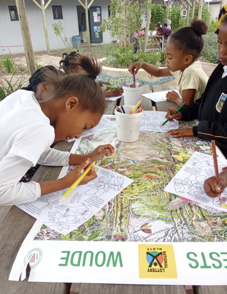 Children colouring in forest illustrations at an outdoor table